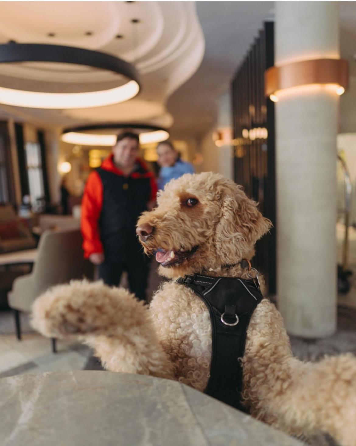 Le Westin Tremblant Hotel Mont-Tremblant Kültér fotó